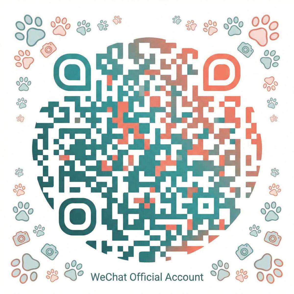 在线看片公众号二维码